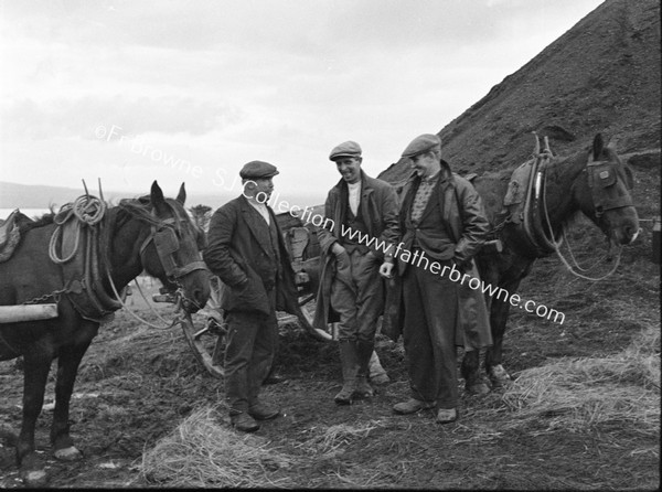 ARIGNA MINES CARTERS